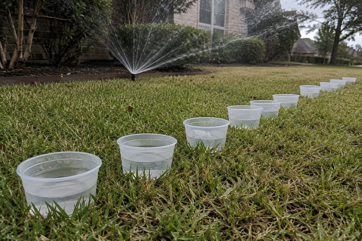 Row of small plastic catch cups set out across a lawn with a spray head running in the background