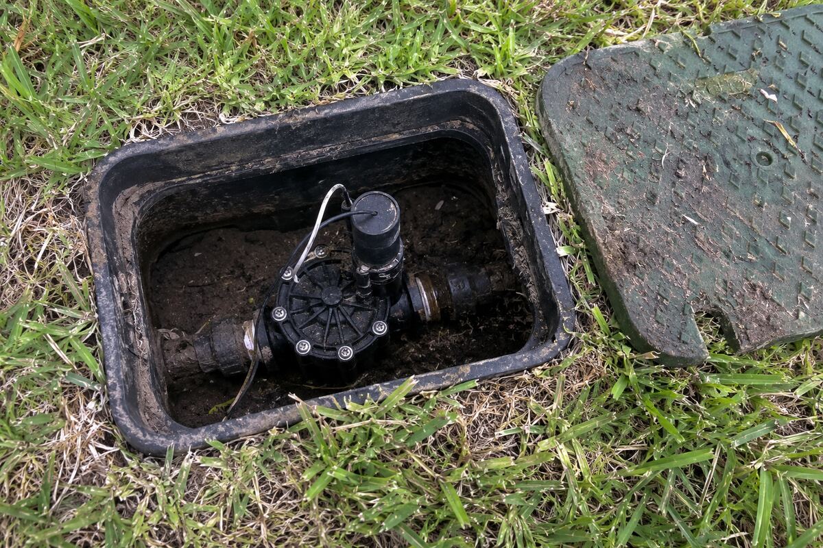 Open valve box in a lawn with a plastic zone valve and its black solenoid visible above standing soil