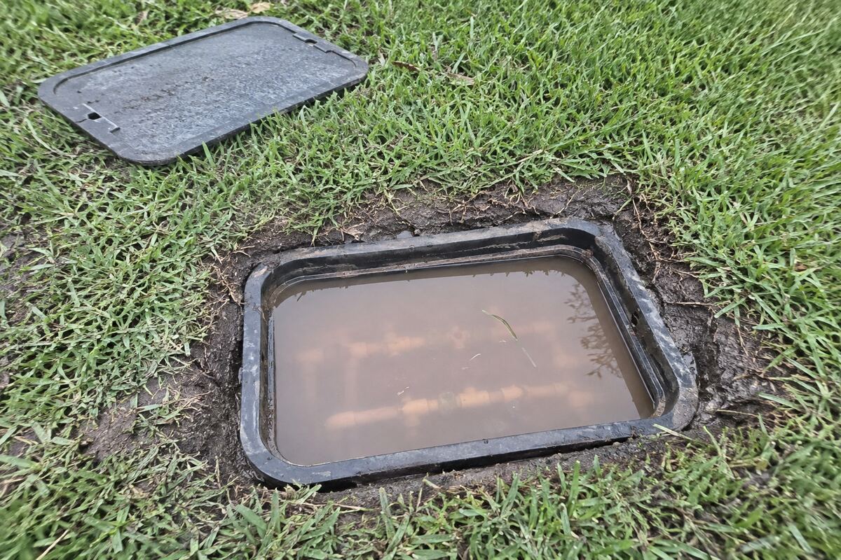 Rectangular irrigation valve box in a lawn with muddy water standing over the valves inside it